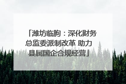 潍坊临朐：深化财务总监委派制改革 助力县属国企合规经营
