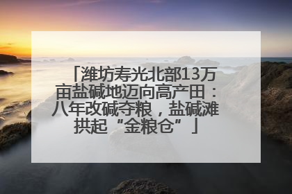潍坊寿光北部13万亩盐碱地迈向高产田：八年改碱夺粮，盐碱滩拱起“金粮仓”