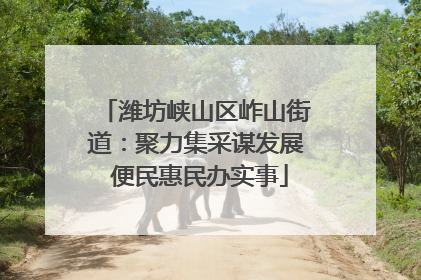 潍坊峡山区岞山街道：聚力集采谋发展 便民惠民办实事