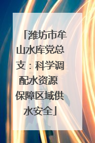 潍坊市牟山水库党总支：科学调配水资源 保障区域供水安全