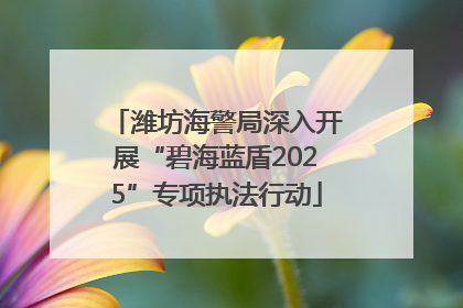 潍坊海警局深入开展“碧海蓝盾2025”专项执法行动
