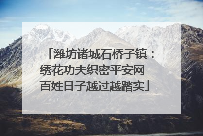 潍坊诸城石桥子镇：绣花功夫织密平安网 百姓日子越过越踏实
