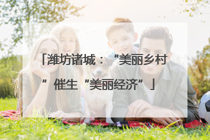 潍坊诸城：“美丽乡村”催生“美丽经济”