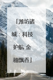 潍坊诸城：科技护航 金穗飘香