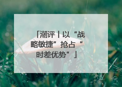 潮评丨以“战略敏捷”抢占“时差优势”