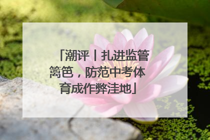 潮评丨扎进监管篱笆，防范中考体育成作弊洼地