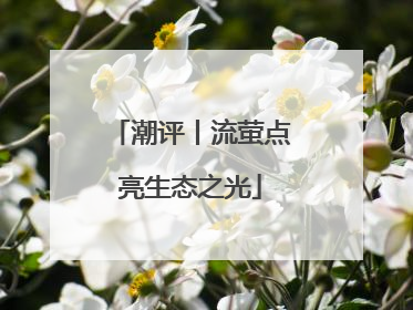 潮评丨流萤点亮生态之光