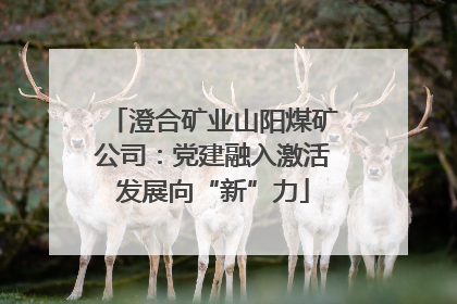 澄合矿业山阳煤矿公司：党建融入激活发展向“新”力