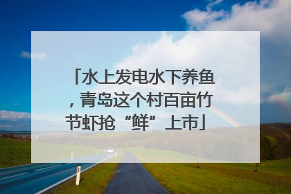 水上发电水下养鱼，青岛这个村百亩竹节虾抢“鲜”上市
