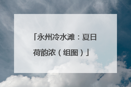 永州冷水滩：夏日荷韵浓（组图）