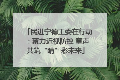 民进宁德工委在行动：聚力近视防控 童声共筑“睛”彩未来