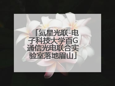 氦星光联-电子科技大学百G通信光电联合实验室落地眉山