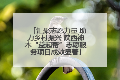 汇聚志愿力量 助力乡村振兴 陕西神木“益起帮”志愿服务项目成效显著