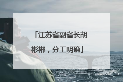 江苏省副省长胡彬郴，分工明确