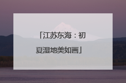 江苏东海：初夏湿地美如画