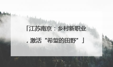 江苏南京：乡村新职业，激活“希望的田野”