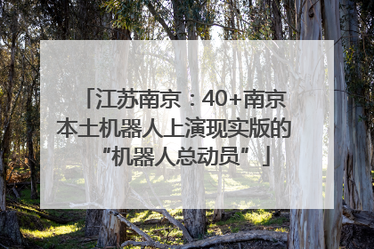 江苏南京：40+南京本土机器人上演现实版的“机器人总动员”