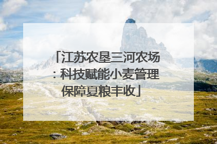 江苏农垦三河农场：科技赋能小麦管理保障夏粮丰收