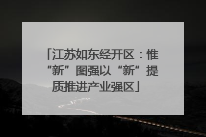 江苏如东经开区：惟“新”图强以“新”提质推进产业强区