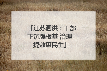 江苏泗洪：干部下沉强根基 治理提效惠民生