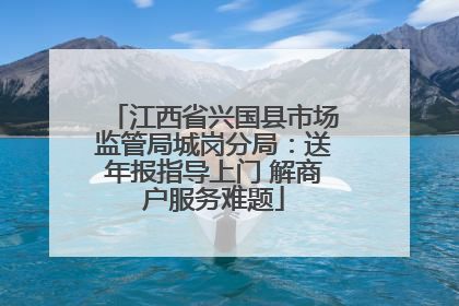 江西省兴国县市场监管局城岗分局：送年报指导上门 解商户服务难题