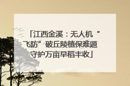 江西金溪：无人机“飞防”破丘陵植保难题 守护万亩早稻丰收