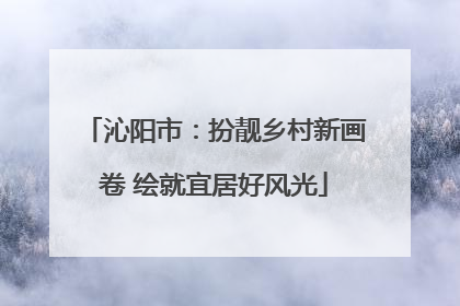 沁阳市：扮靓乡村新画卷 绘就宜居好风光