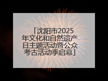 沈阳市2025年文化和自然遗产日主题活动暨公众考古活动季启幕