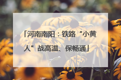河南南阳：铁路“小黄人”战高温、保畅通