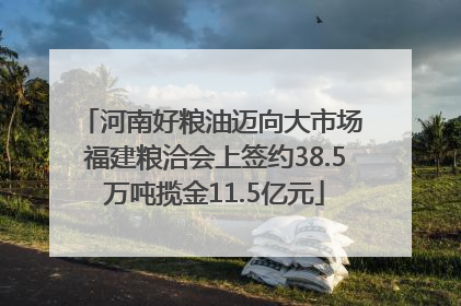 河南好粮油迈向大市场 福建粮洽会上签约38.5万吨揽金11.5亿元