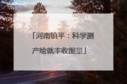 河南镇平：科学测产绘就丰收图景