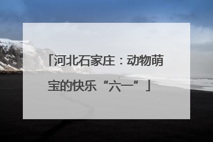 河北石家庄：动物萌宝的快乐“六一”