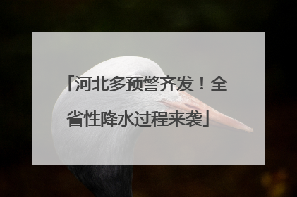 河北多预警齐发！全省性降水过程来袭