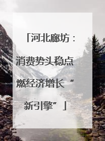 河北廊坊：消费势头稳点燃经济增长“新引擎”