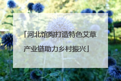河北馆陶打造特色艾草产业链助力乡村振兴