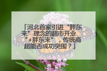 河北首家引进“胖东来”理念的超市开业 “+胖东来”，传统商超能否成功突围？