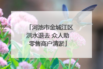 河池市金城江区洪水退去 众人助零售商户清淤