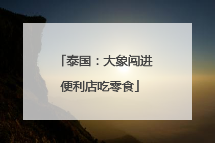 泰国：大象闯进便利店吃零食
