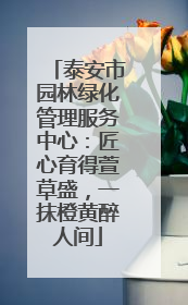 泰安市园林绿化管理服务中心：匠心育得萱草盛，一抹橙黄醉人间