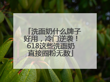 洗面奶什么牌子好用，冷门逆袭！618这些洗面奶直接圈粉无数