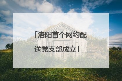 洛阳首个网约配送党支部成立