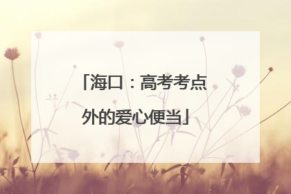 海口：高考考点外的爱心便当