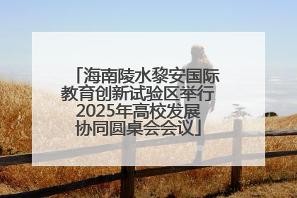 海南陵水黎安国际教育创新试验区举行2025年高校发展协同圆桌会会议