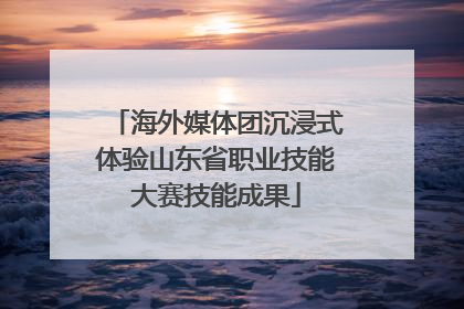 海外媒体团沉浸式体验山东省职业技能大赛技能成果