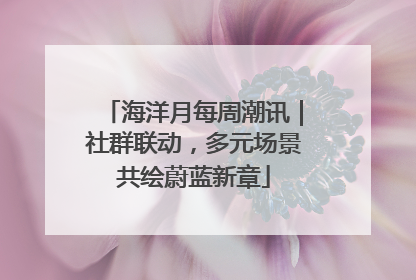 海洋月每周潮讯｜社群联动，多元场景共绘蔚蓝新章