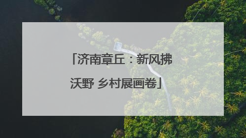 济南章丘：新风拂沃野 乡村展画卷