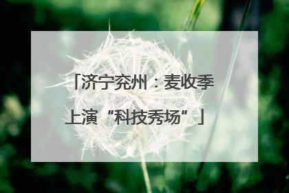 济宁兖州：麦收季上演“科技秀场”