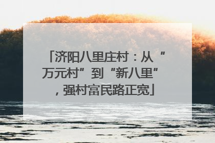 济阳八里庄村：从“万元村”到“新八里”，强村富民路正宽
