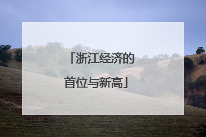 浙江经济的首位与新高