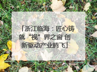 浙江临海：匠心铸就“视”界之窗 创新驱动产业腾飞